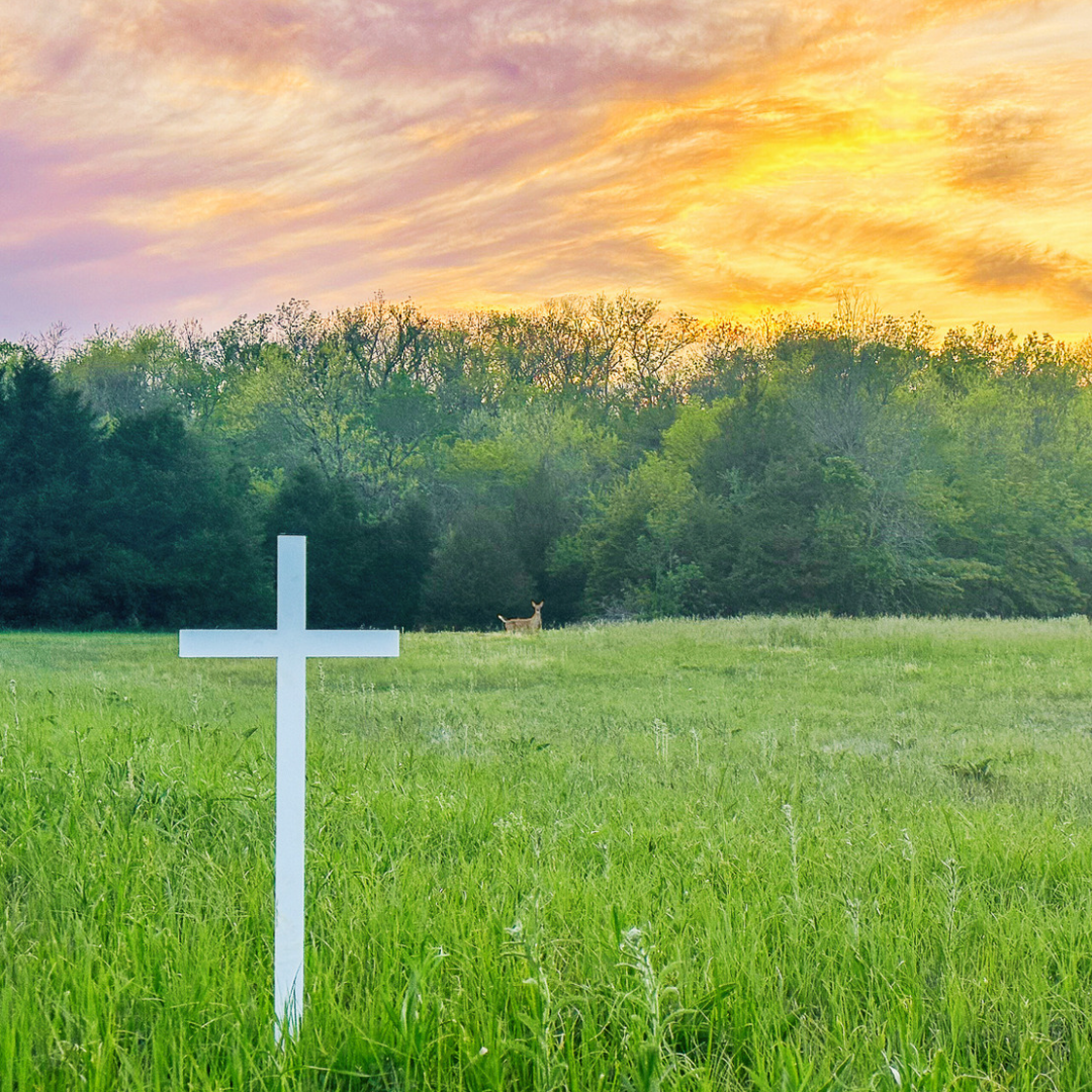 The Woodhaven Memorial Crosses