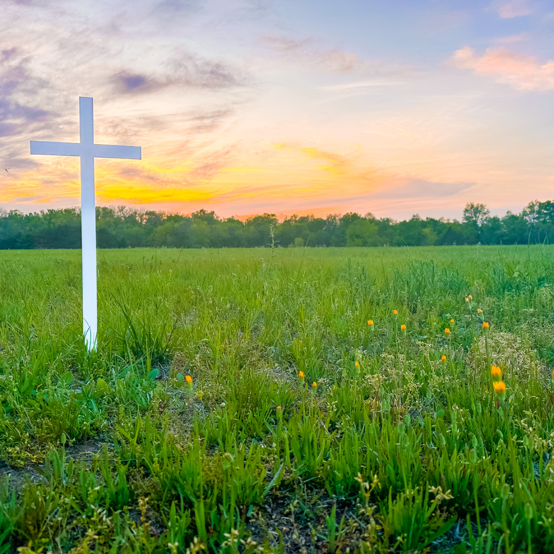 The Woodhaven Memorial Crosses